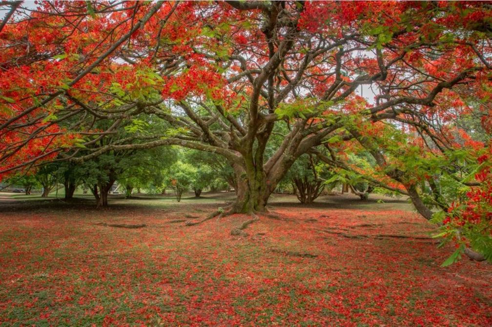 Suites Privativas Vila De Sao Jorge - Chapada Dos Veadeiros Dış mekan fotoğraf
